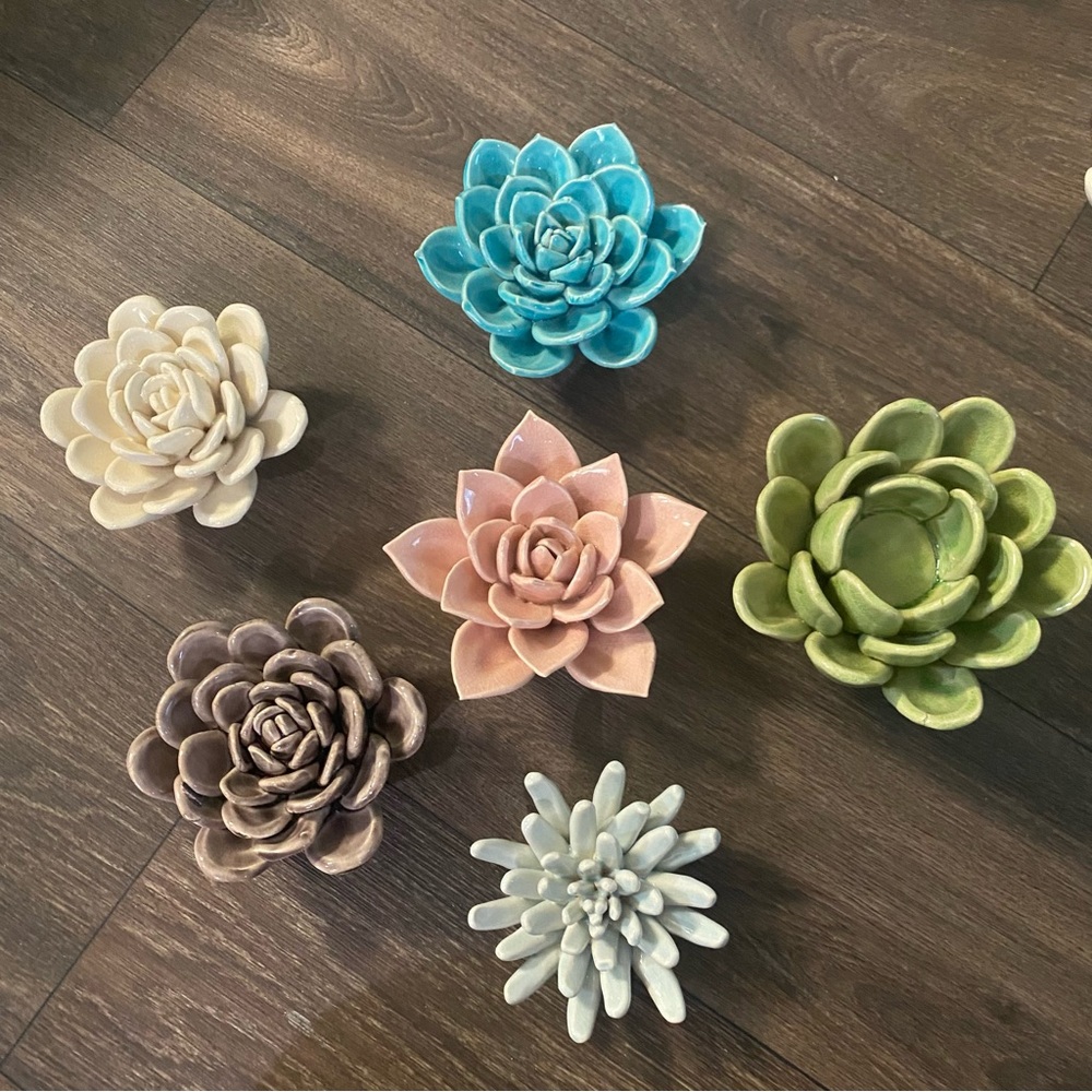 Nordstrom Ceramic Succulents